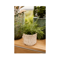 Wikholm form Design Pflanzgefäß / Blumentopf Terrakotta creme ⌀ 15 x H 17 cm