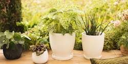 Wikholm form Design Pflanzgefäß / Blumentopf cremeweiß ⌀ 26 x H 27 cm