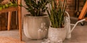Vorschaubild Vosteen Design Blumentopf / Pflanzgefäß Terrakotta weiß 3er Set ø  22 cm x H 19 cm, 28 cm x H 24 cm, 37 cm x H 30 cm