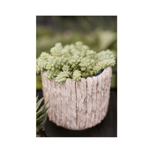 Wikholm form Design Pflanzgefäß / Blumentopf Terrakotta creme ⌀ 15 x H 17 cm