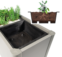 Biohort Pflanzeinsatz für Pflanzbeet Belvedere