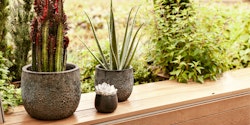 Vosteen Design Blumentopf /  Pflanzgefäß Terrakotta schwarz 3er Set ø 21 cm x H 19 cm, 29 cm x H 24 cm, 37 cm x H 30 cm
