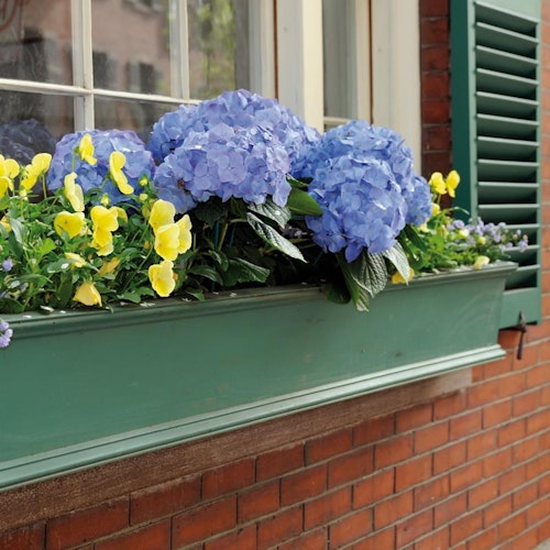 NOOR Premium Blumenkastenvlies grau 1 x 1 m 
