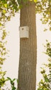 Vorschaubild Alberts® U-Schutzdach für Futterhaus