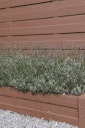 Vorschaubild ORIGI WALLS™ Beton Sichtschutz ELEGANT 395 x 2000 mm 