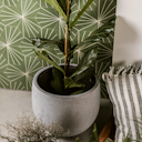 Vorschaubild Klocke Design Pflanzgefäß / Blumentopf Betonoptik ⌀ 37 cm x H 33 cm