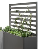 Biohort Rankgitter für Pflanzbeet Belvedere (1 Stück; für Gr. 100, 150, 200 und eine Seite der L-Formen) Biohort Rankgitter für Pflanzbeet Belvedere (1 Stück; für Gr. 100, 150, 200 und eine Seite der L-Formen)Zubehörbild