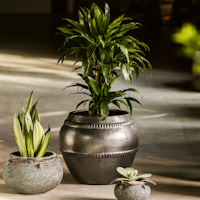 Wikholm form Design Pflanzgefäß / Blumentopf Keramik-Tongemisch schwarz  ⌀ 57 cm x H:48 cm