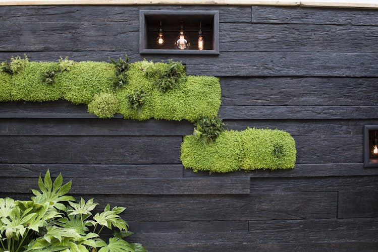 Millboard Terrassendiele WEATHERED Embered 200 x 3600 x 32 mm