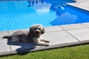 Vorschaubild WESERWABEN® Pool- / Beckenrandsteine - Margo