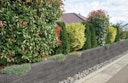 Vorschaubild WESERWABEN® Mauersteine Vario-Line® Long