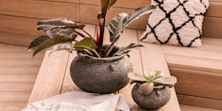 Vosteen Design Blumentopf / Pflanzgefäß Terrakotta schwarz 2er Set ø 23 cm x H 16 cm, 40 cm x H 27 cm